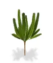 Euphorbia mini kunst Cactus 20cm