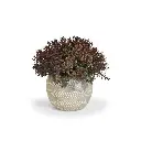 Mini kunst Buxus in pot 15cm - burgundy