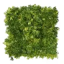 Rendier kunst Mosmat 25x25cm - groen