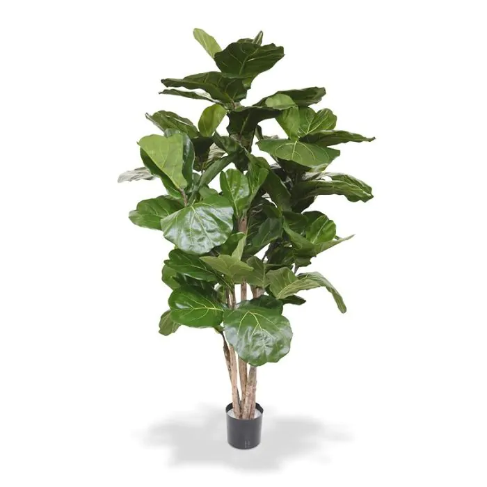 Lyrata deluxe kunstboom 170cm