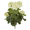 Geranium PL kunstplant 38cm - creme - UV bestendig