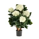 Hortensia UV Kunstplant Deluxe Creme 65cm