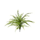 Asplenium Varen kunstplant 45cm