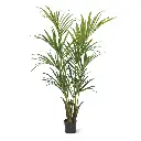 Kentia deluxe kunstpalm 165cm