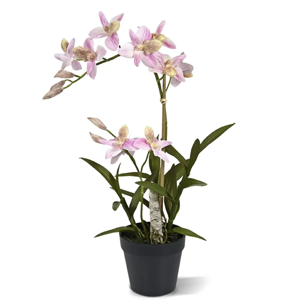 Spider kunst Orchidee 50cm - rose