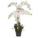 Phalaenopsis kunst Orchidee 95cm wit