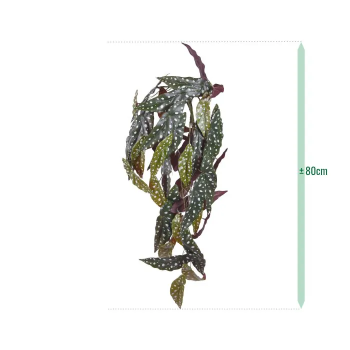 Begonia Maculata kunst hangplant 80cm