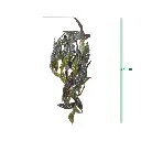 Begonia Maculata kunst hangplant 80cm