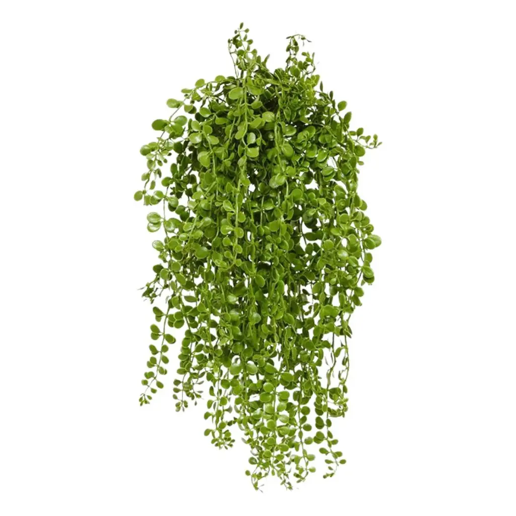 Dischidia kunst hangplant 40cm - UV bestendig