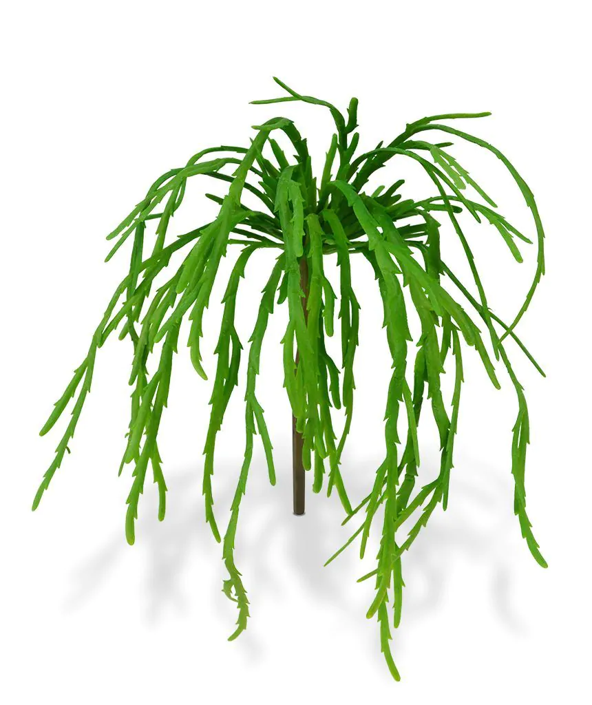 Rhipsalis Lepismium kunstplant 30cm