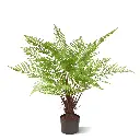 Bosvaren kunstplant 80cm