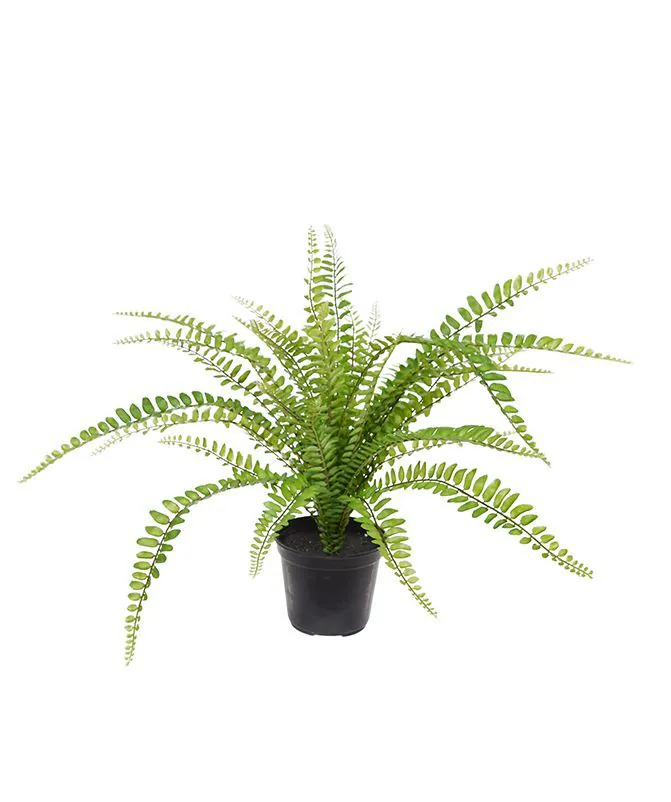 Asplenium Varen kunstplant 45cm in pot