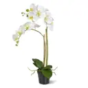 Phalaenopsis kunst Orchidee 65cm wit