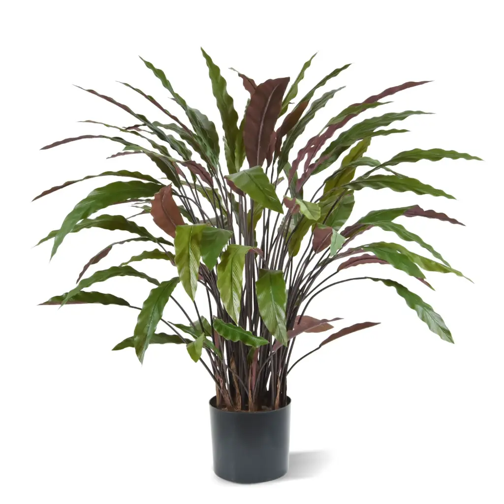 Calathea kunstplant 85cm - groen/rood
