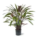 Calathea kunstplant 85cm - groen/rood