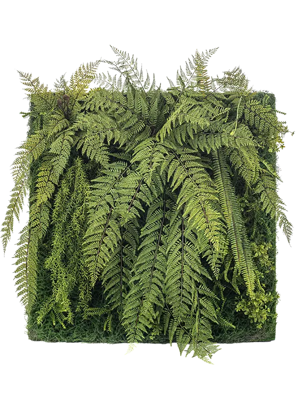 Greenwall luxe varen 100x100cm