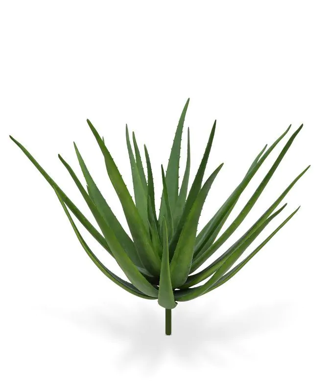 Aloë deluxe kunstplant 70cm