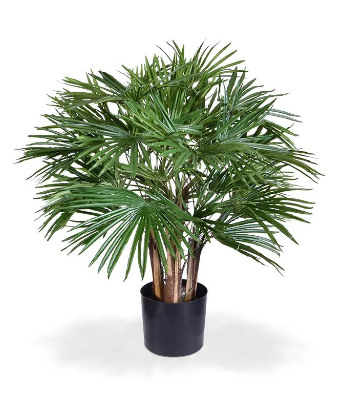 Baby Fan Kunstpalm 70 cm