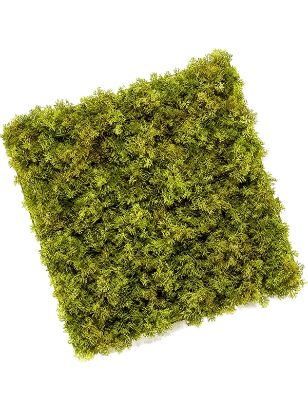 Rendier kunst Mosmat 50x50cm - groenmix