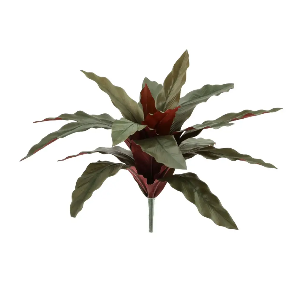 Calathea kunstplant 30 cm - groen/rood