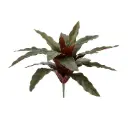 Calathea kunstplant 30 cm - groen/rood