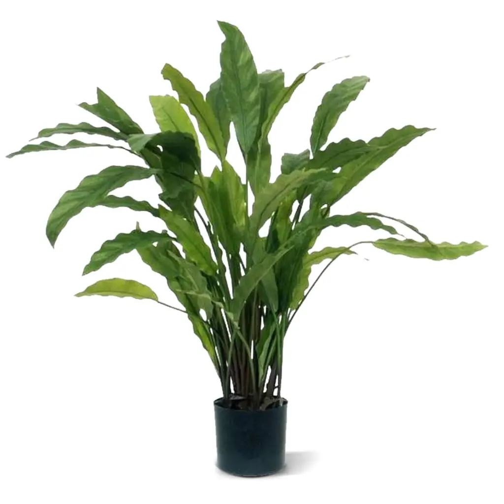 Calathea kunstplant 60cm - groen