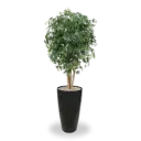 Acer kunstplant 160cm - groen