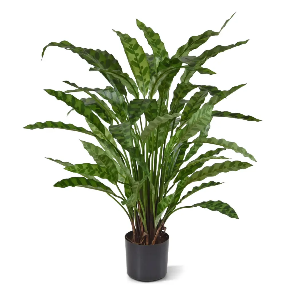Calathea Leopardina kunstplant 60cm
