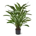 Calathea Leopardina kunstplant 60cm