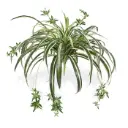 Chlorophytum Kunsthangplant 50cm