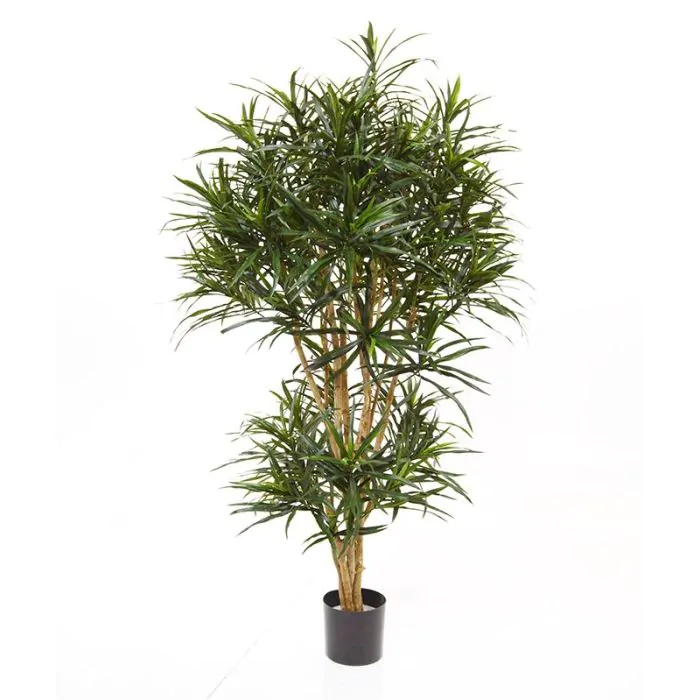 Draceana Reflexa Anita kunstboom 160cm
