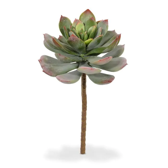 Echeveria kunstplant 25cm - groen/rood