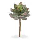 Echeveria kunstplant 25cm - groen/rood