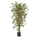Ficus Hawai kunstboom 150cm
