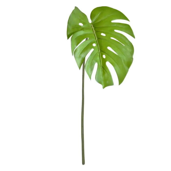 Monstera Blad 65cm groen