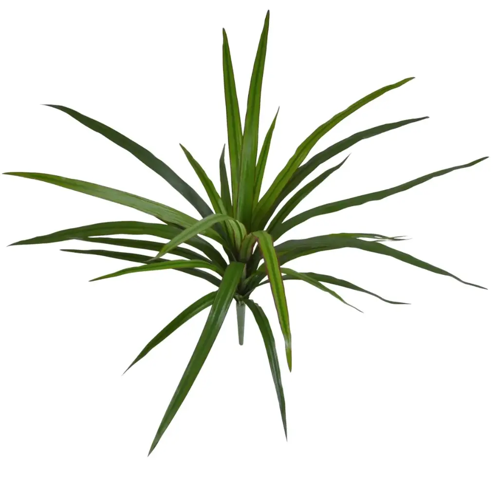 Draceana Marginata Kunstplant 40cm
