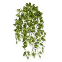 Peperomia Kunst hangplant bont 50cm