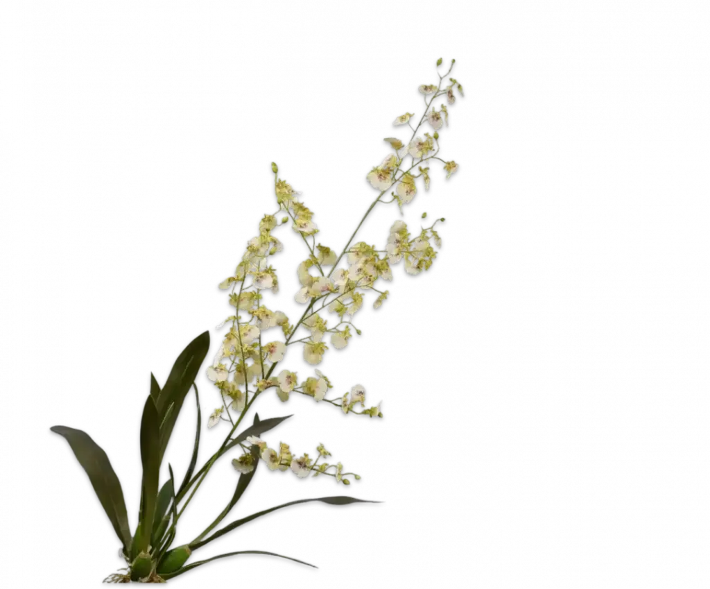 Orchidee tak licht - 116 cm