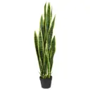 Sanseveria kunstplant 110cm - bont