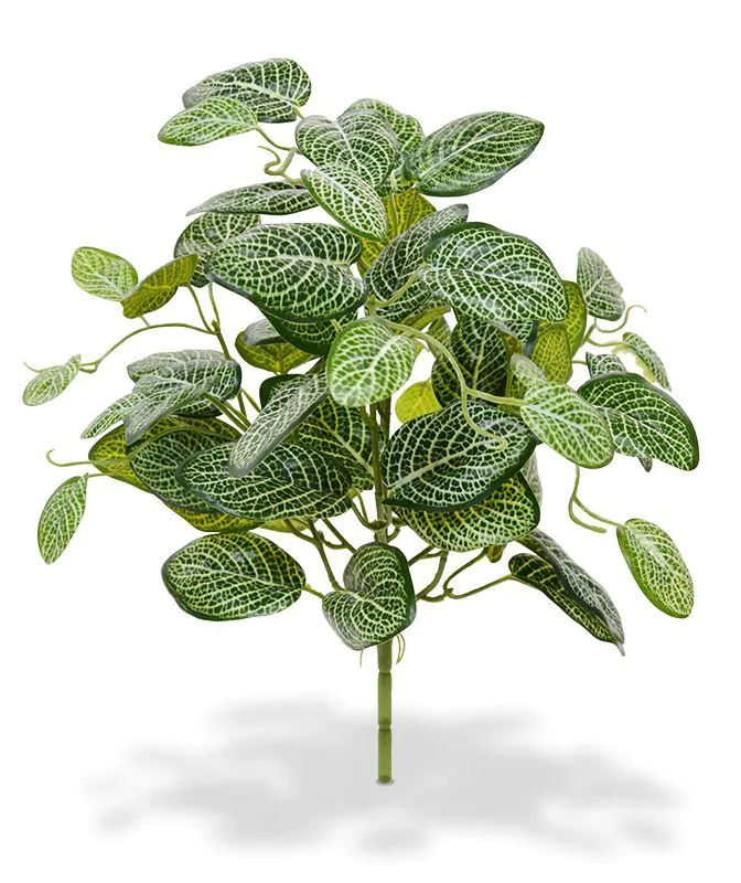 Fittonia kunstplant 40cm - bont