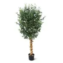 Kunst Olijfboom deluxe 155cm