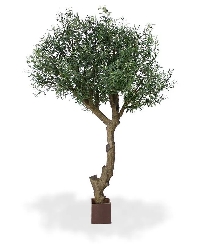 Olijf Giant Y stam kunstboom 270cm