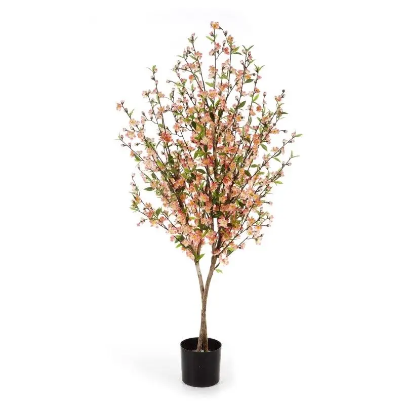 Kersenbloesem boom rose 140 cm