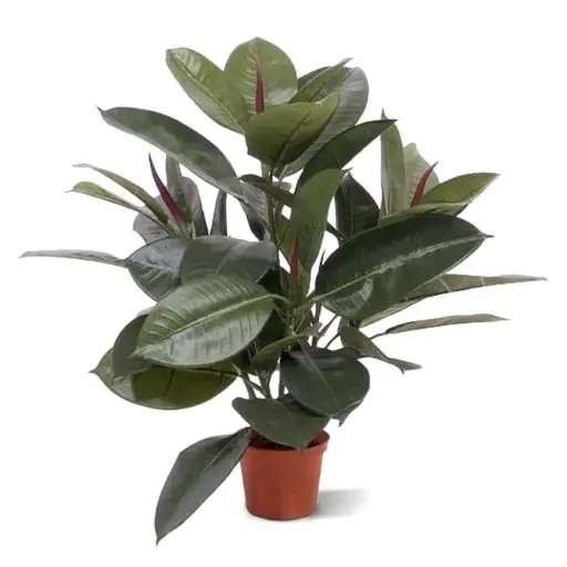 Elastica Robusta deluxe kunstplant 50cm 
