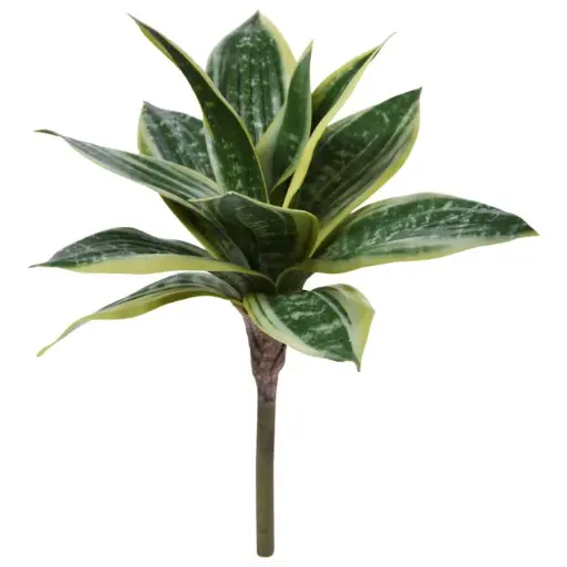 Sanseveria Kunstplant 25cm bont