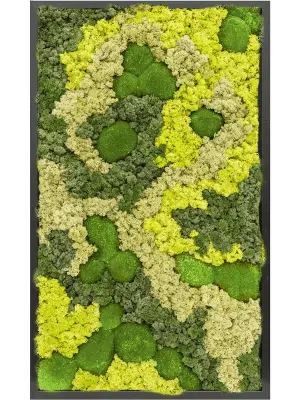 [3-CMSS00513] Mosschilderij Mix - RAL 9005 - 100x60