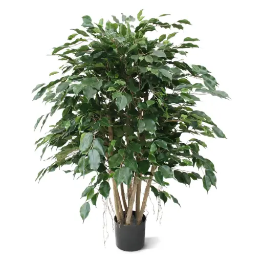 [1-112311] Ficus Exotica XL kunstplant 110cm groen
