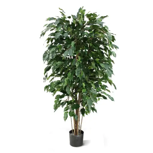 [1-112315] Ficus Exotica deluxe kunstplant 150cm - groen