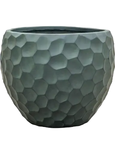 Tortuga - Couple - Green - 40 cm