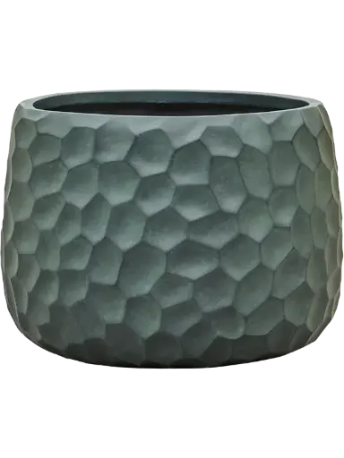 [3-6TRTFGD11] Tortuga - Darcy - Green - 39 cm